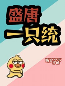 盛唐一只统
